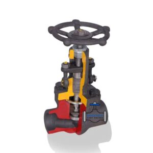 Globe Valve